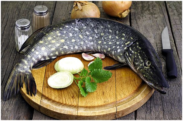 С натуральной приманкой