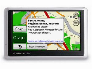 Грибной сезон в Подмосковье