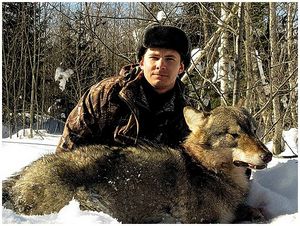 Патрон на волка