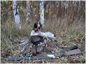 Вальдшнепы фаршированные грибами и орехами в красном вине