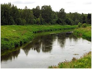Вести с водоёмов