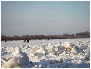 Густера и белоглазка  на сильном течении