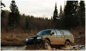 Автоагрессия