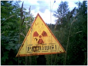 Охота и радиация