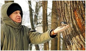 Поможем птицам!
