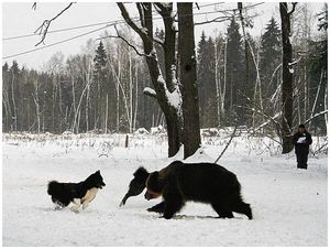 Шестой «Кубок подолья»