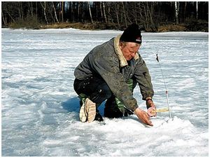 Щуки в сезон  ледостава