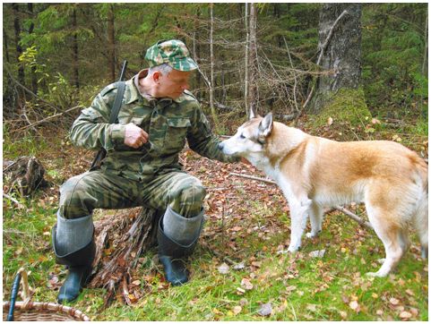 За новую Главохоту