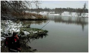 Зимнее доночное разнообразие