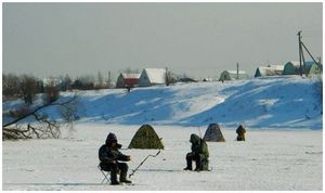 Зимняя ловля леща  без  насадки