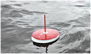 Кружки на малых водоёмах (кружка, водоем, амур, рыболов) Кружки на малых водоёмах