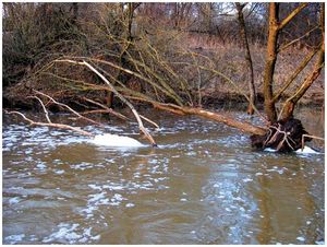 Рыбалка  в мутной воде