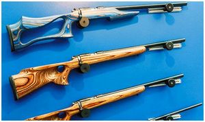 Выставка ARMS&Hunting