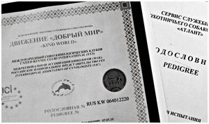 Осторожно: параллельный мир