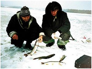 Щуки в сезон  ледостава