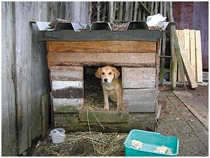 Воспитать и нагонять
