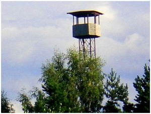Лабаз от дяди Жени