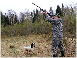 Вальдшнепиная математика