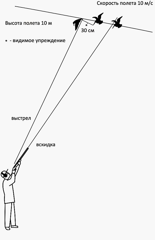 Вальдшнепиная математика