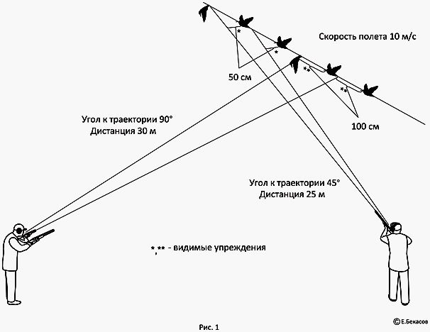 Вальдшнепиная математика