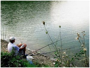 Пресноводные водоемы Крыма