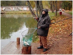 Вести с водоёмов