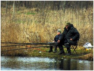 Вести с водоёмов