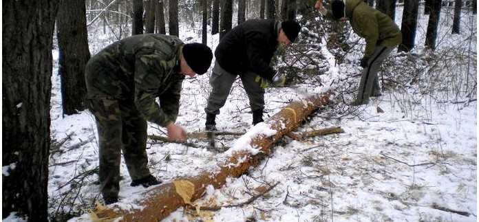 Мачете Кайман от ООО Кизляр, характеристики, обзор, тест, рабочие качества мачете Кайман при рубке и заготовке дров.