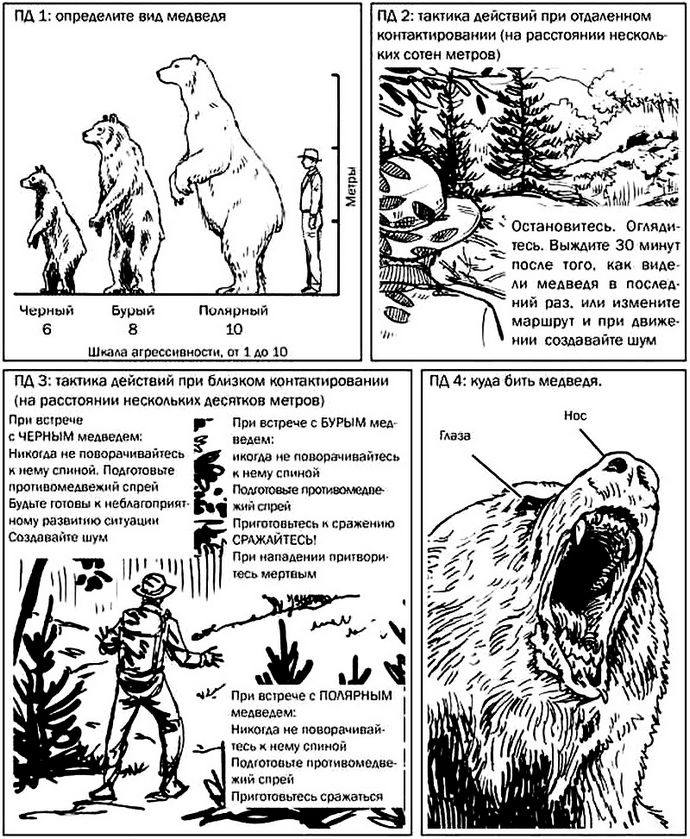 Что делать при нападении и атаке медведя, обычные меры предосторожности, как предотвратить нападение медведя, использование противомедвежьего спрея и оружия.