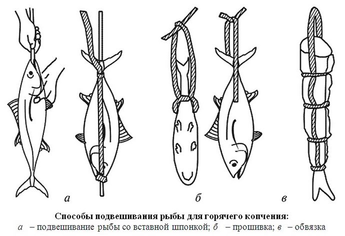 Способы подвешивания и подпетливания рыбы, мяса, птицы и сала для копчения, выбор шпагата и веревки.