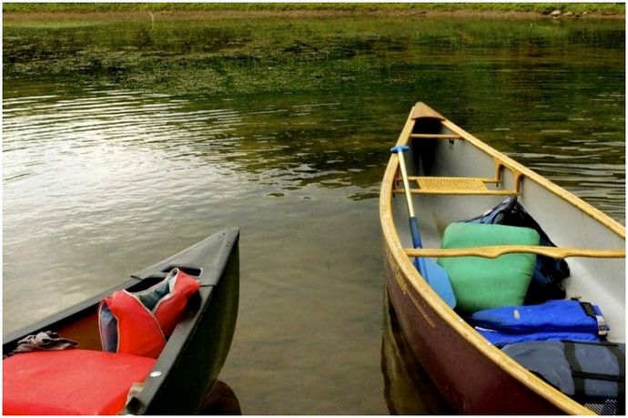 Kayak vs. Canoe: советы по водным лыжам и как выбирать между двумя