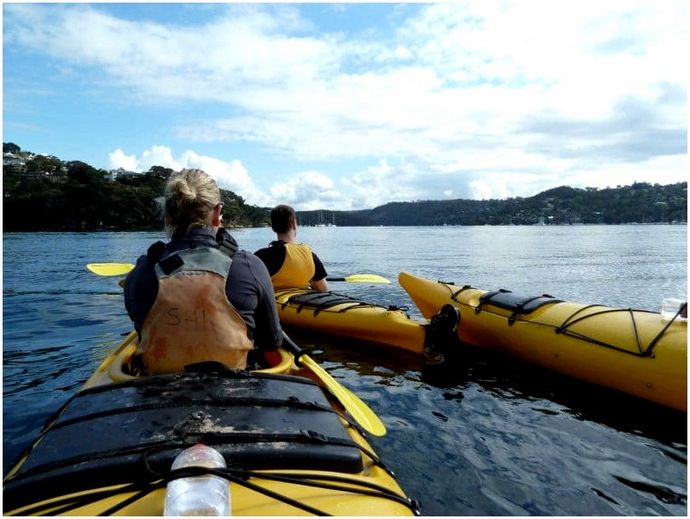 Kayak vs. Canoe: советы по водным лыжам и как выбирать между двумя