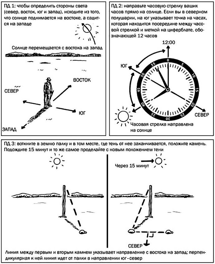 Ориентирование на местности по расположению природных объектов, по Солнцу и звездам.