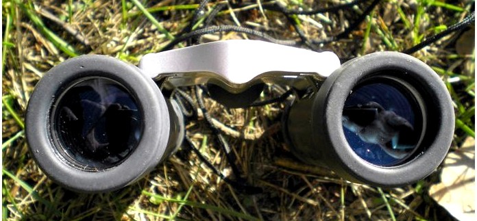 Компактный бинокль Barska 8 215;21 Trend Binoculars, Blue Lens AB10124, обзор.