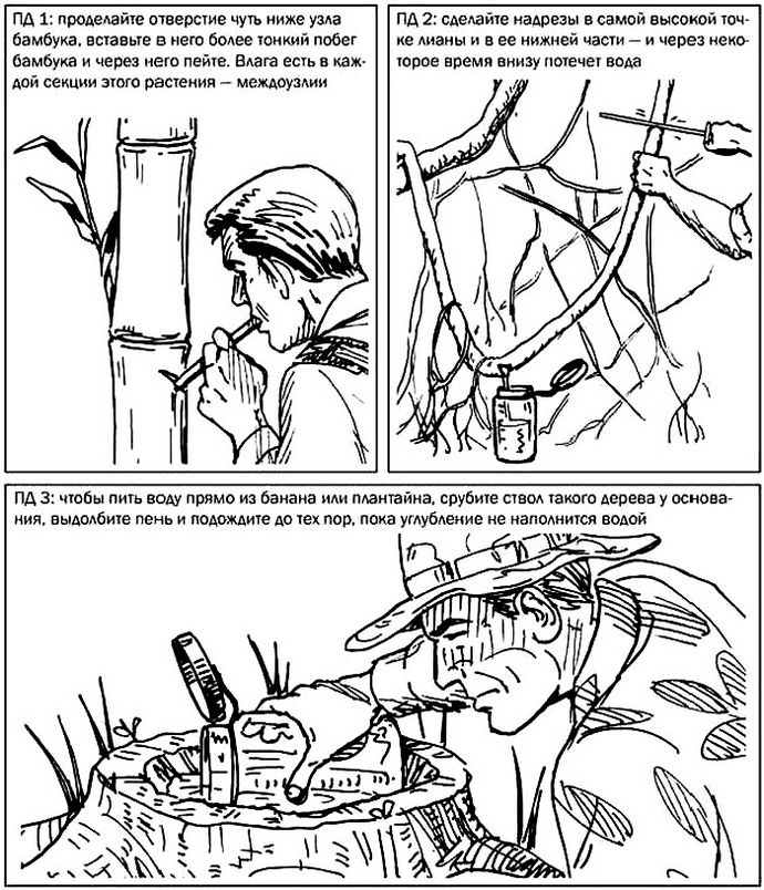 Сбор воды и разжигание огня в тропическом лесу, добыча воды из бамбука и лианы, разжигание огня при помощи побега бамбука.