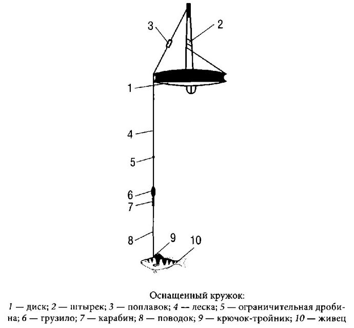 Самодельные кружки для ловли хищной рыбы на живца, устройство, способ изготовления, кружок из консервной банки, ловля хищной рыбы с помощью кружков.