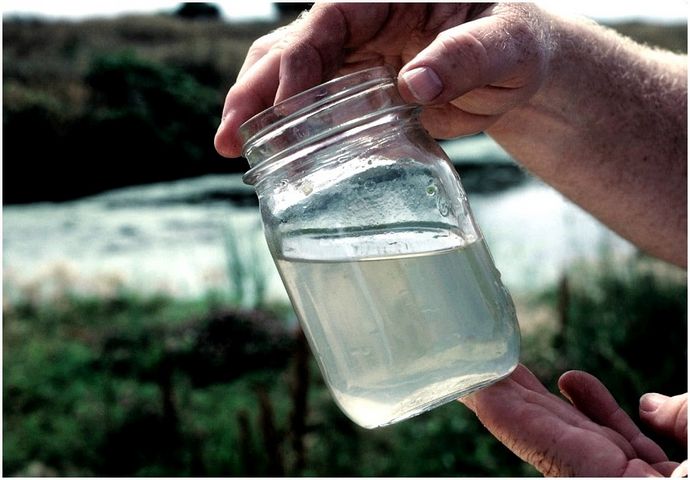 Выживаемая очистка воды: 7 практических способов утолить жажду в природе