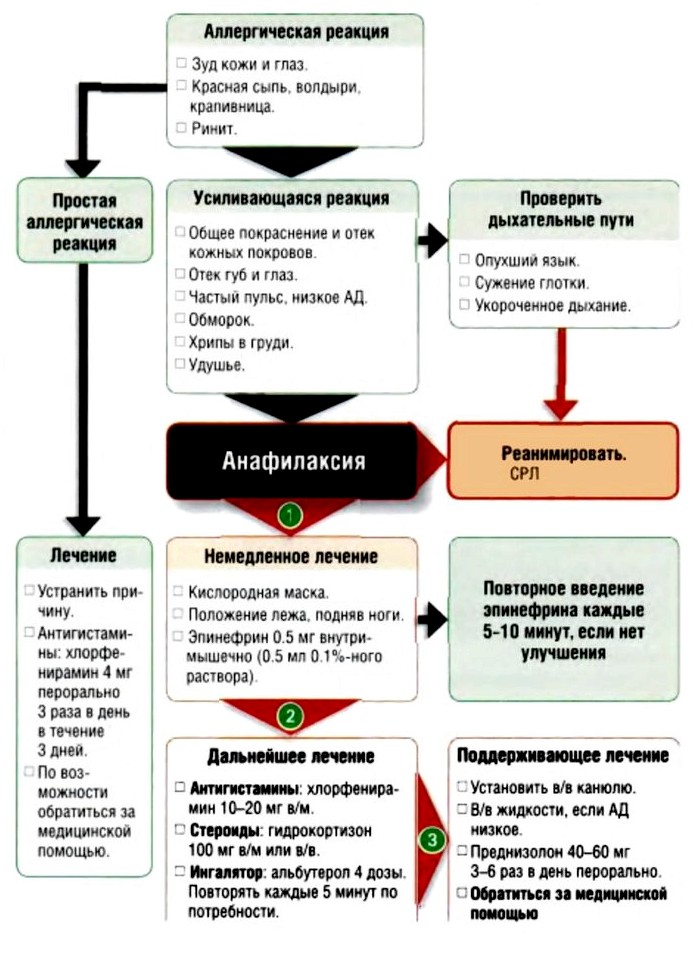 Аллергия, анафилаксия или анафилактический шок, немедленное, дальнейшее и поддерживающее лечение простой аллергической реакции или анафилактического шока