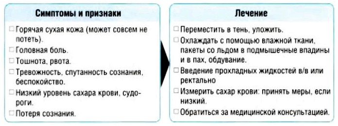 Тепловой удар, симптомы и признаки, лечение в условиях жаркого климата