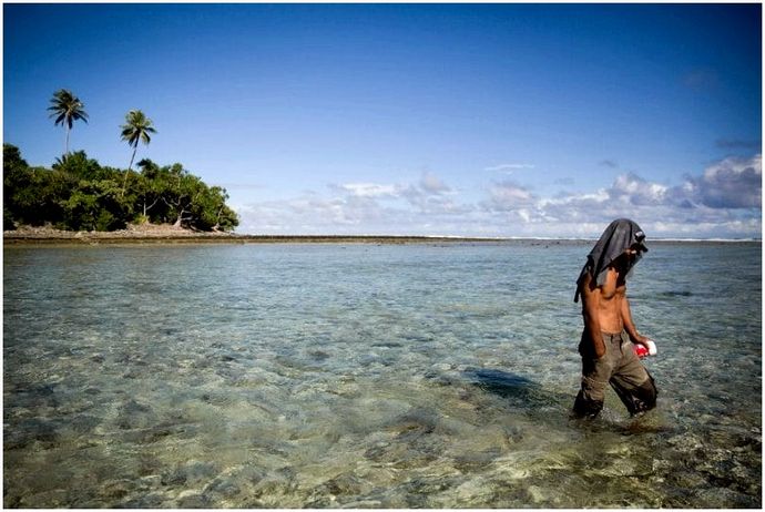 Как добыть воду в лесу или на острове. Морской опреснитель из упаковки, бутылки и листьев