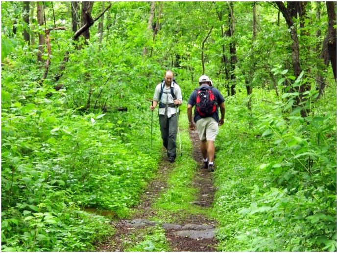 Приложения Appalachian Trail: факты Trail и как использовать приложения