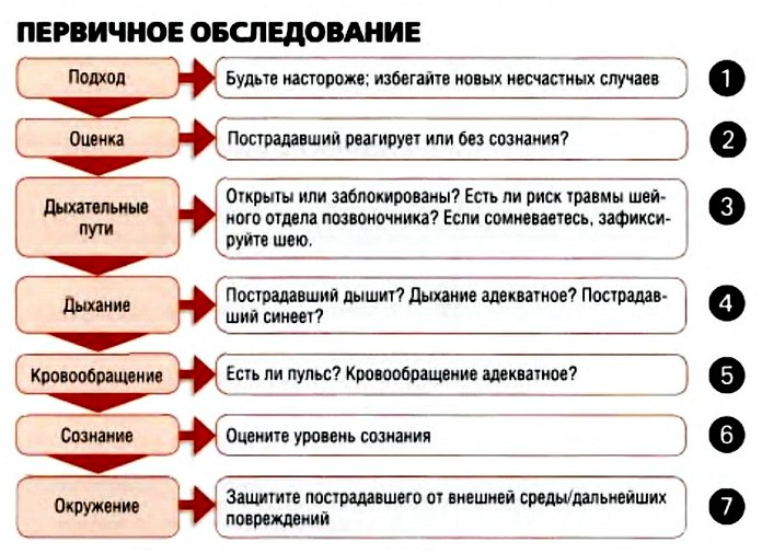 Первичное обследование больного или травмированного в полевых условиях