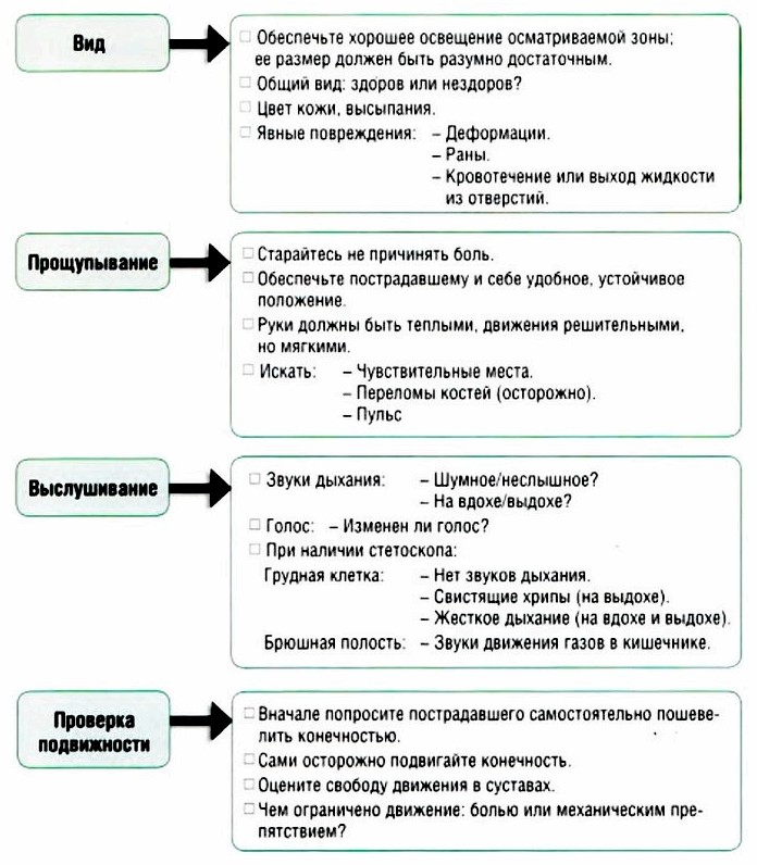 Обследование пострадавшего после сбора анамнеза