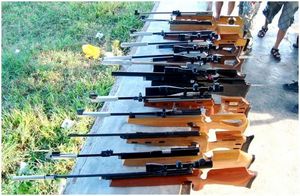 Air Rifle Hunting: поиск новых охотников и маленьких игровых экспертов