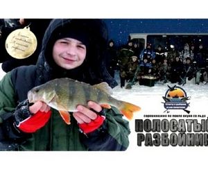 Полосатый разбойник - 2013