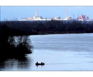 Браконьеры кормят киевлян чернобыльской рыбой