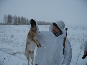 Как разделать зайца