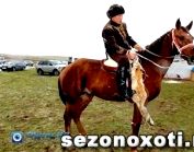 В Южном Казахстане прошли соревнования по орлиной охоте