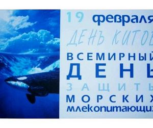 19 февраля - Всемирный день защиты китов