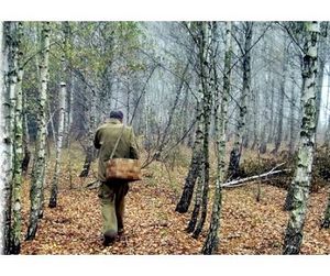 Французы  и не только блуждают в наших лесах без Сусанина
